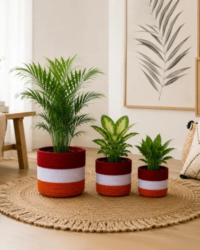 Handmade Indoor & Outdoor Plant Basket Set