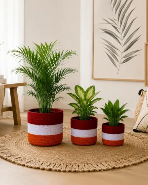 Handmade Indoor & Outdoor Plant Basket Set