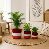 jute-planter-2.1
